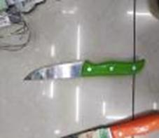 Нож кухонный 17.0см пласт. ручка с чехлом IMP0719861