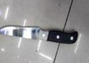 Нож кухонный 21.0см пласт. ручка с чехлом IMP0719862