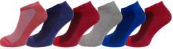 Шкарпетки жіночі LOMANI 300WG сітка р.36-40 мікс