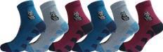 Шкарпетки жіночі PREMIER SOCKS 14В35/14 р.23-25 мікс з малюнком