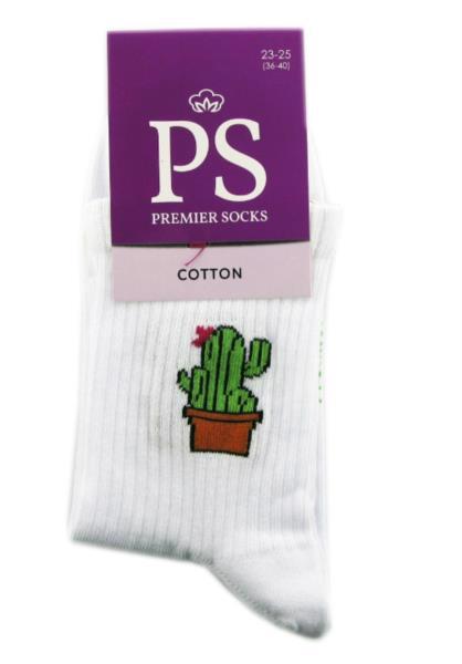 Шкарпетки дитячі PREMIER SOCKS ПА 2пари малюнок білі