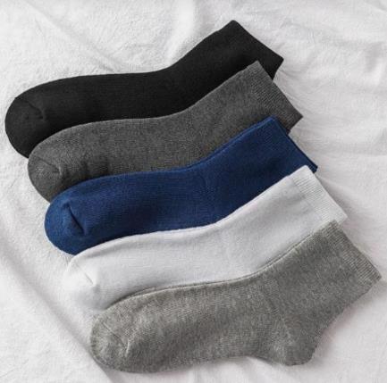 Шкарпетки чоловічі PREMIER SOCKS Економ В8-5 махра р.25