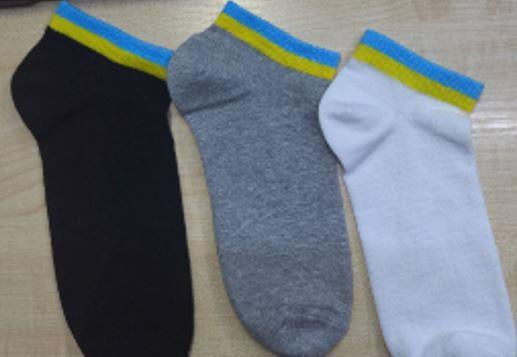 Шкарпетки жіночі PREMIER SOCKS з патріотичною смужкою р.23-25 спорт білі