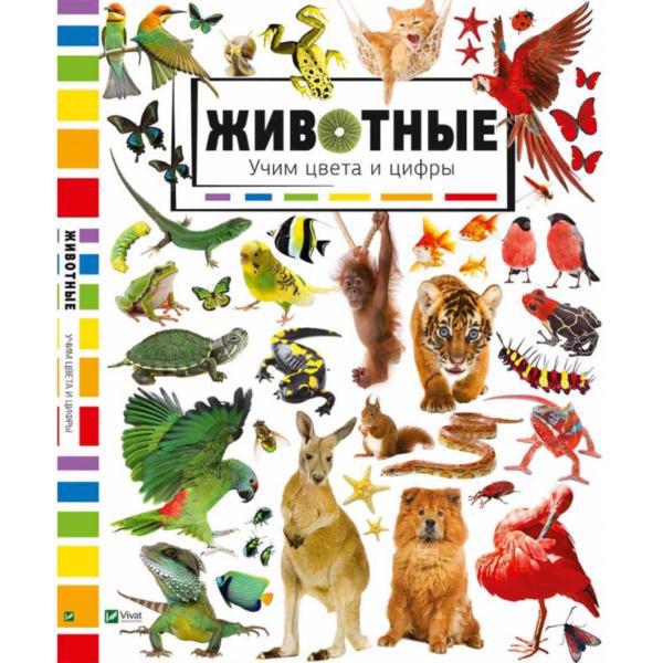 Книга VIVAT "Животные. Учим цвета и цифры" р