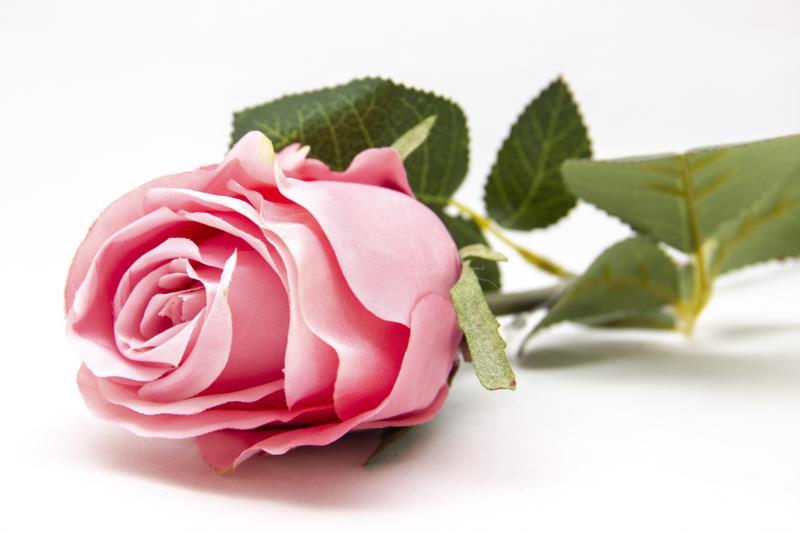 Цветок декор. ветка DEVILON Роза розовая 53.5см 130108