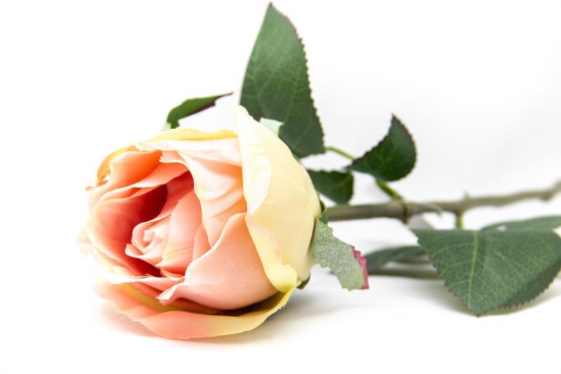 Цветок декор. ветка DEVILON Роза светло-розовая 52.5см 130085