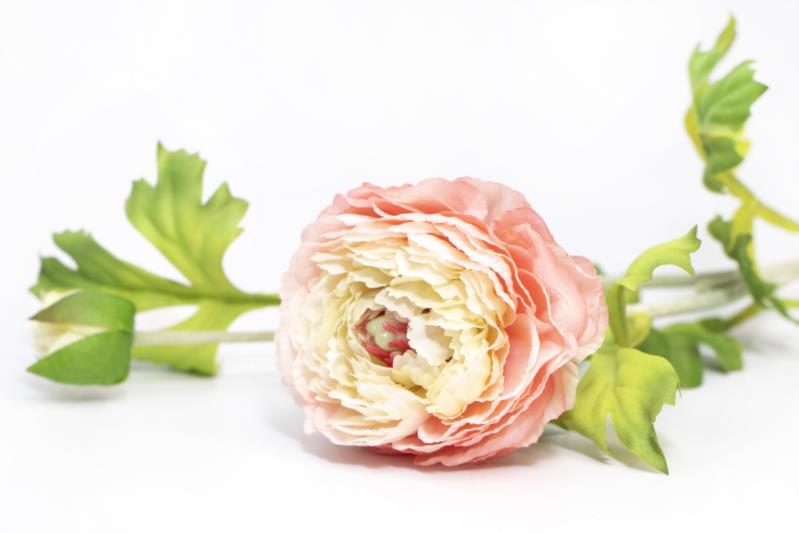 Квітка декор. гілка DEVILON Жовтець 59см рожевий 632397