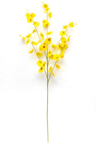 Цветок декор. ветка DEVILON Орхидея 88см желтый 630157
