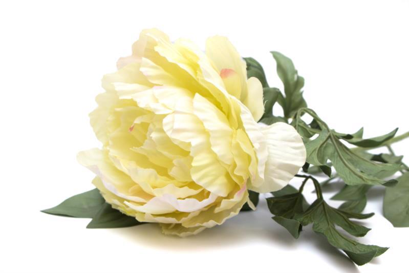 Квітка декор. гілка DEVILON Півонія 83см білий 130344