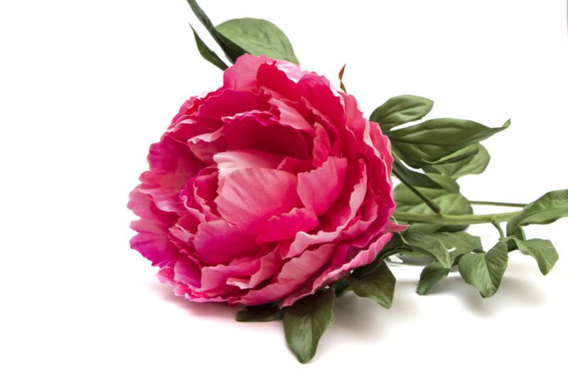 Цветок декор. ветка DEVILON Пион 83см розовый 130351