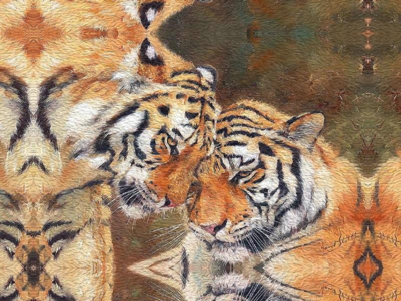Картина ART FAMILY 35*50см Любовь тигров 2