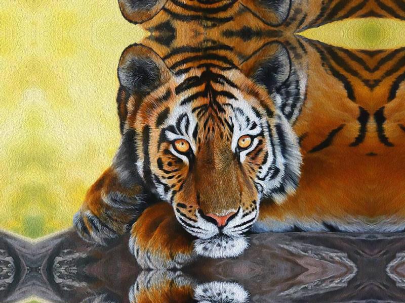 Картина ART FAMILY 35*50см Відпочиваючий тигр