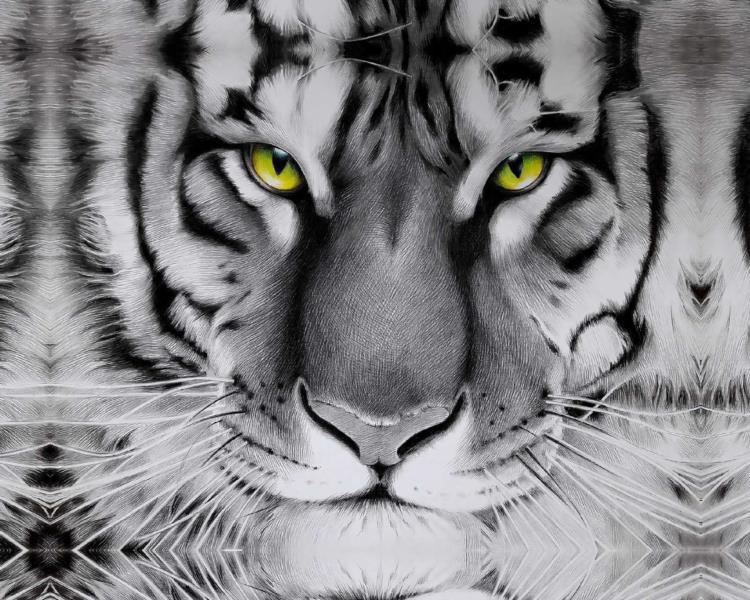 Картина ART FAMILY 50*65см Глаза тигра