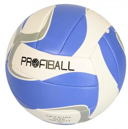 М'яч волейбольний ПВХ 2.5мм, 2кольори EN3289